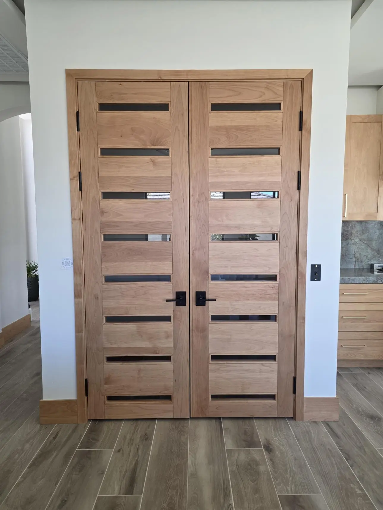 Elegant Entry Doors Handle