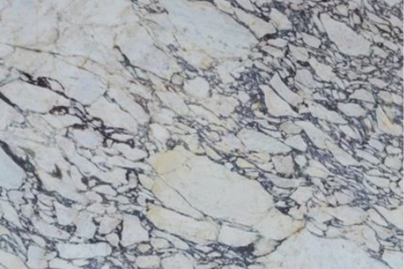Calcatta Viola Marble